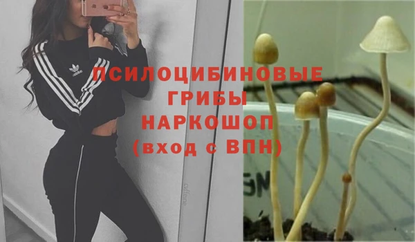 jwh Арсеньев