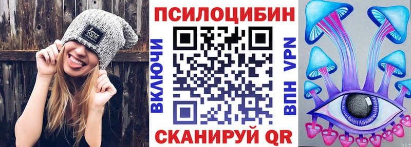 закладка  Магас  Псилоцибиновые грибы Psilocybe 